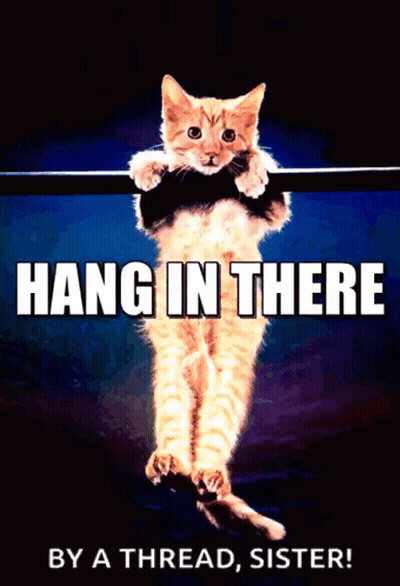 Cat Hanging On Bar Hang In There By A Thread Sister GIF