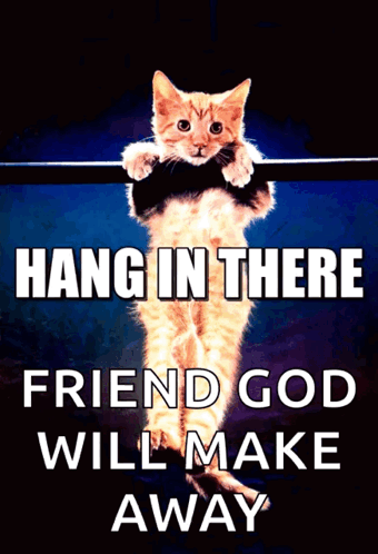 Cat Hanging On Bar Hang In There Friend GIF