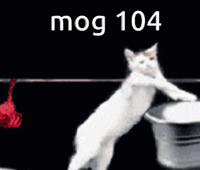 Cat Hanging Shirt On Clothes Line Mog 104 GIF