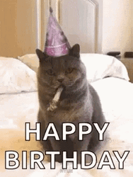 Cat Happy Birthday Meme