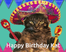 Cat Happy Mexican Birthday Party GIF