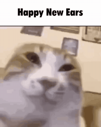 Cat Happy New Ears