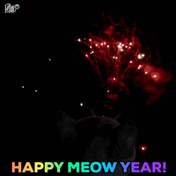 Cat Happy New Years Fireworks GIF
