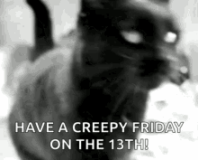Cat Have A Creepy Happy Friday The 13Th GIF