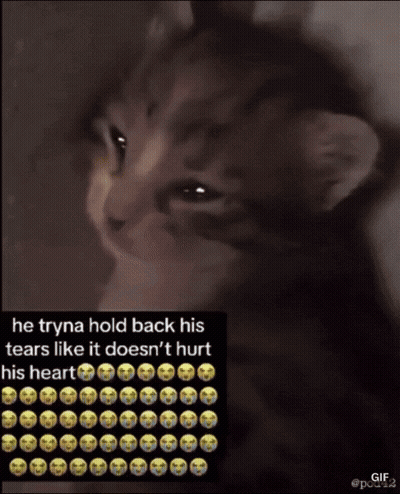 Cat He Tryna Hold Back His Tears GIF