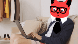 Cat Head Person Working Computer GIF