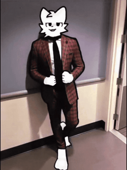 Cat Head Shannon Sharpe Meme GIF