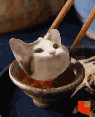 Cat Head Sticking Out Of Bowl Of Food GIF
