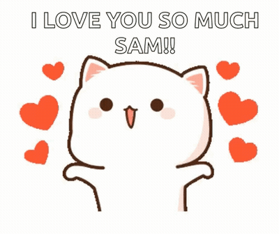 Cat Hearts I Love You So Much Sam! GIF