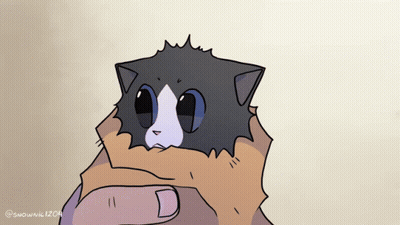 Cat Held By Someone GIF