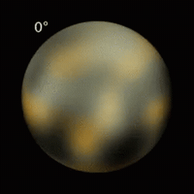 Cat Held Saying Pluto Loves Bingus GIF