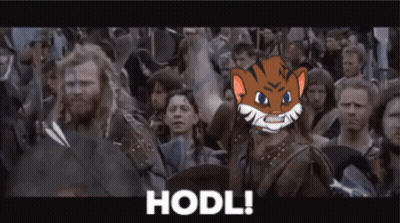 Cat Hodl GIF