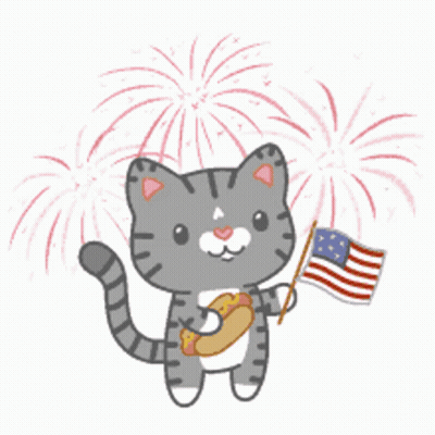 Cat Holding American Flag And Hot Dog GIF