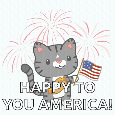 Cat Holding American Flag Happy To You America GIF