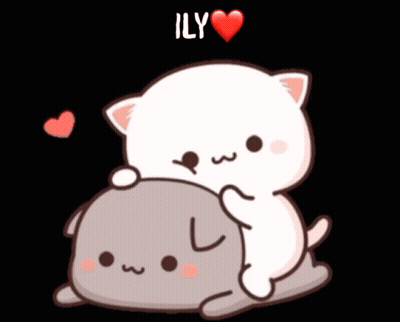 Cat Holding Another Cat Saying Ily GIF