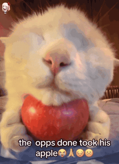 Cat Holding Apple Saying The Opps Done Took His Apple GIF