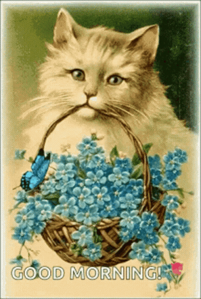Cat Holding Basket Of Blue Flowers With Butterfly GIF