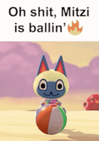 Cat Holding Beach Ball Saying Oh Shit Mitzi Is Ballin GIF