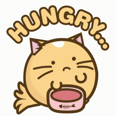 Cat Holding Bowl Saying Hungry GIF