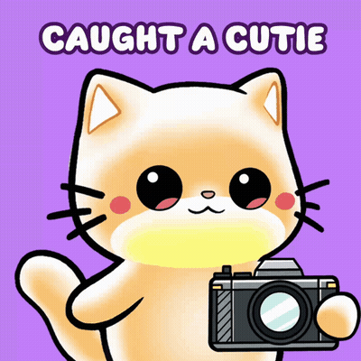 Cat Holding Camera Saying Caught A Cutie GIF