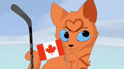Cat Holding Canadian Flag And Hockey Stick GIF
