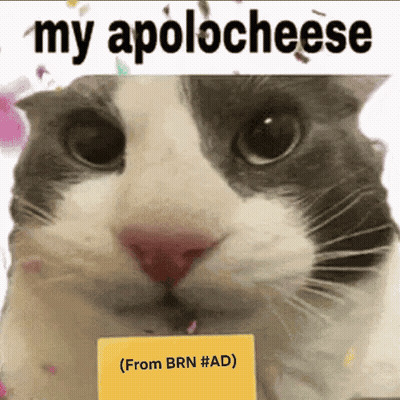 Cat Holding Card Saying My Apologeese GIF