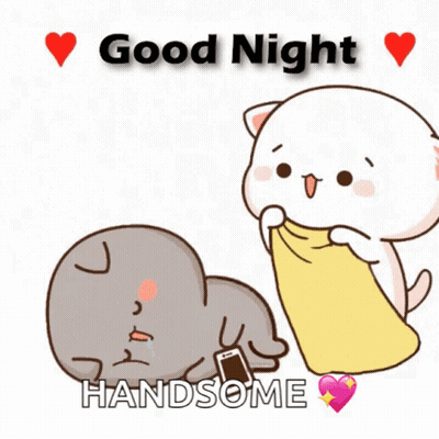 Cat Holding Cell Phone Says Good Night Handsome GIF