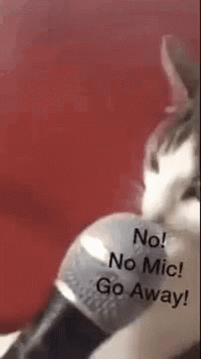 Cat Holding Condom Says No Mic Go Away GIF