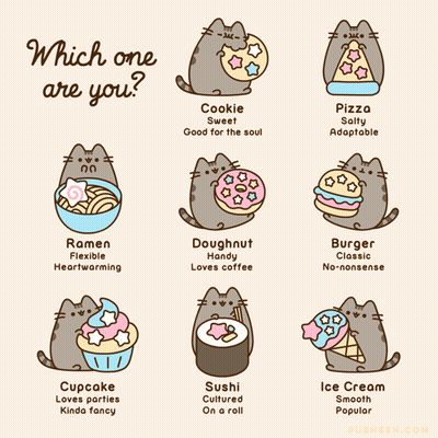 Cat Holding Cookie Doughnut Which One Are You GIF
