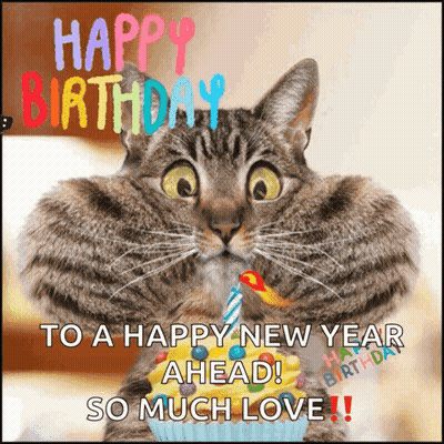 Cat Holding Cupcake Birthday Card GIF