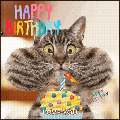 Cat Holding Cupcake Says Happy Birthday Love You GIF