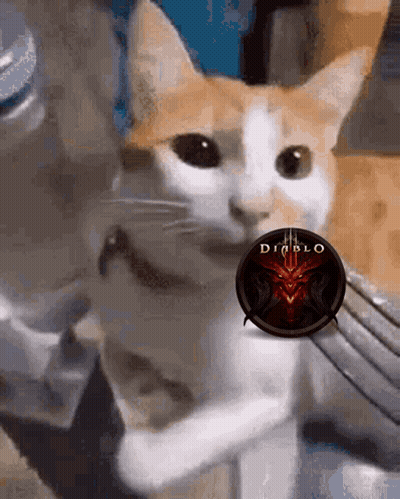 Cat Holding Diablo 3 Logo In Mouth GIF
