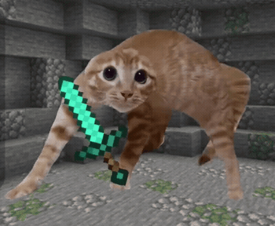 Cat Holding Diamond Sword GIF