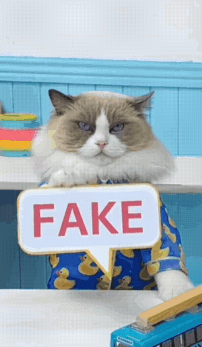 Cat Holding Fake Sign GIF