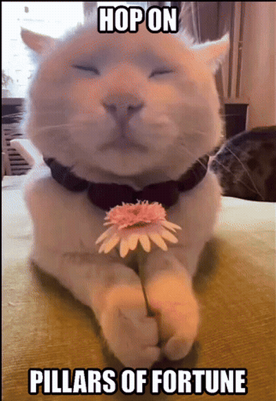 Cat Holding Flower Hop On Pillars Of Fortune GIF