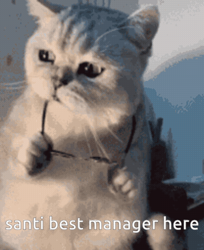 Cat Holding Glasses Saying Santi Best Manager Here GIF