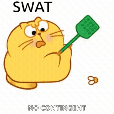 Cat Holding Green Mosquito Swatter And Ring GIF