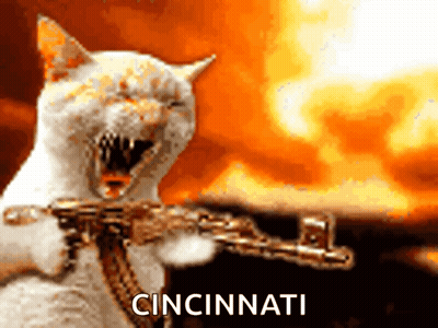 Cat Holding Gun Cincinnati GIF