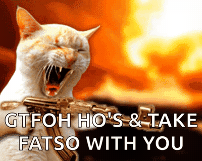 Cat Holding Gun Gtfoh Ho's & Takefatso With You GIF