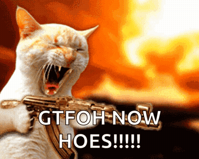 Cat Holding Gun Saying Gtfoh Now Hoes GIF