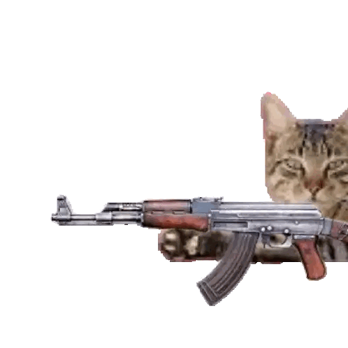 Cat Holding Gun With Flame Sticker