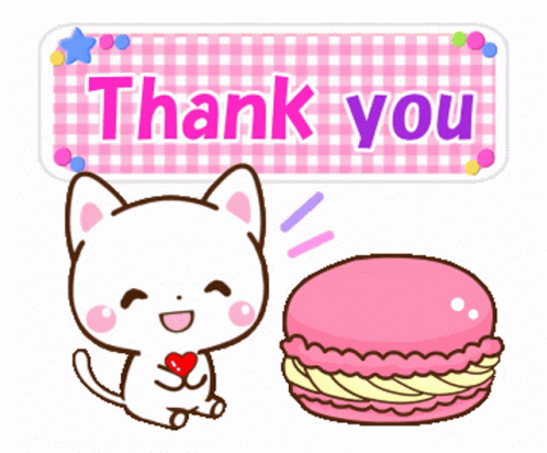 Cat Holding Heart Next To Pink Macaron And Thank You Sign GIF