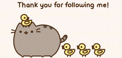 Cat Holding Heart Next To Pink Macaron And Thank You Sign GIF