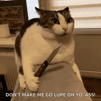 Cat Holding Knife On Couch GIF
