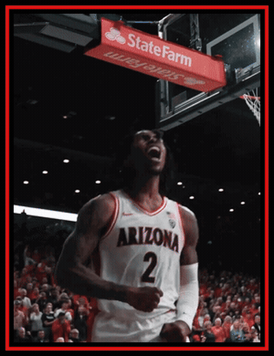 Cat Holding Letter K Saying Go Cats GIF
