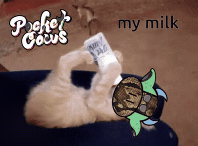 Cat Holding Milk Carton Pocket Cocus GIF