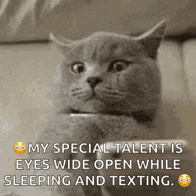 Cat Holding Phone Saying My Special Talent Eyes Wide Open Sleeping Texting GIF