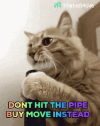 Cat Holding Pipe Dont Hit The Pipe Buy Move Instead GIF