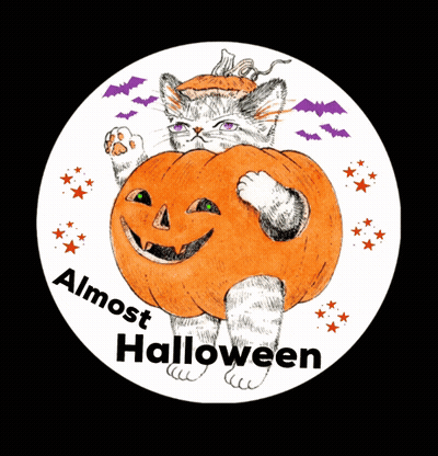 Cat Holding Pumpkin Saying Almost Halloween GIF