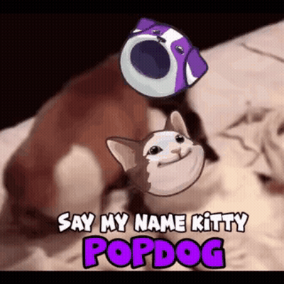 Cat Holding Purple Object While Dog Looks On GIF